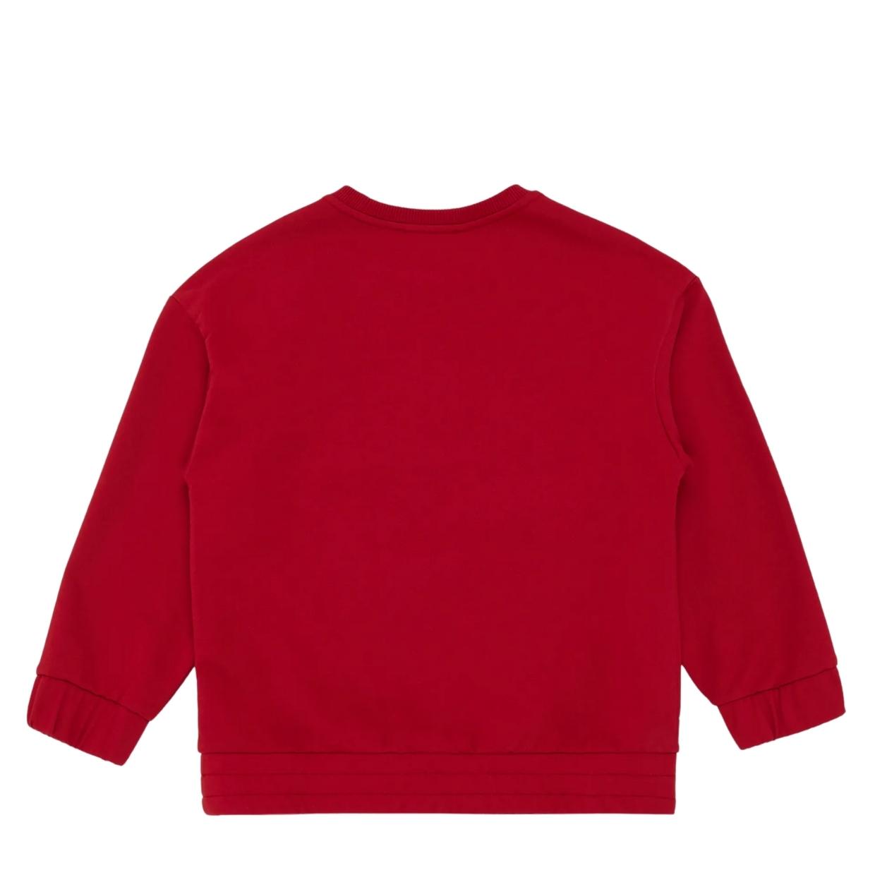 Emporio Armani Junior Red Oversized Eagle Logo Sweatshirt