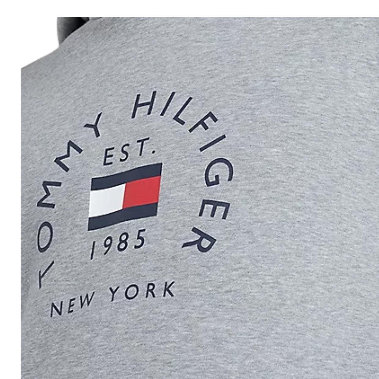 Tommy Hilfiger Flag Arch Logo Hoodie Retro Designer Wear