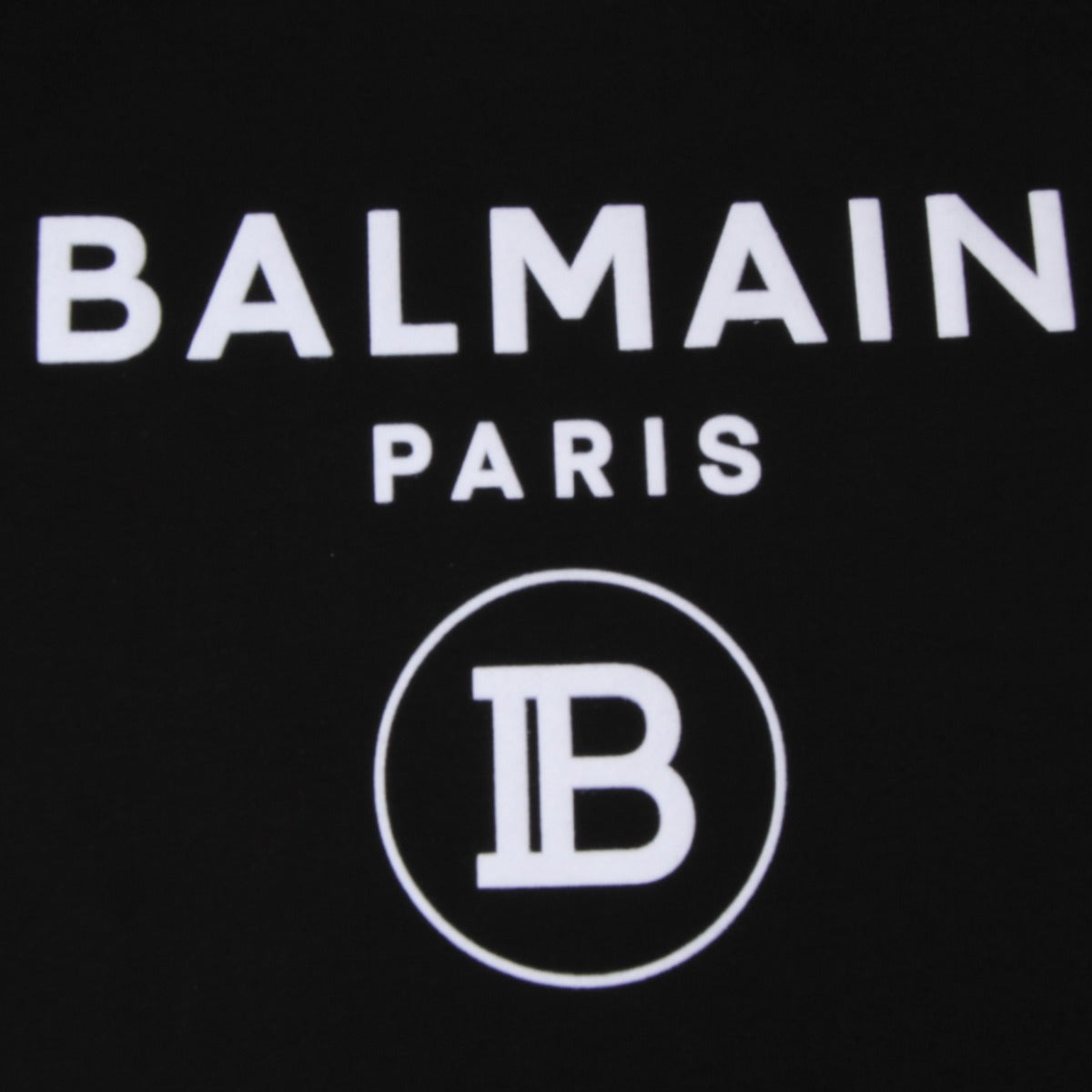 Balmain Paris Black and White Logo T-Shirt